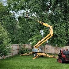 Best Sod Installation  in Shillington, PA