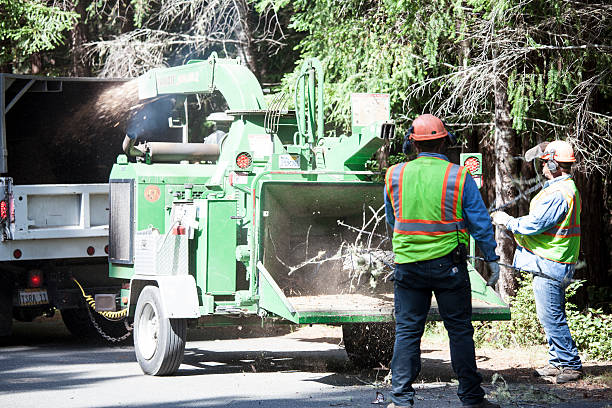 Soil Testing and Treatment in Shillington, PA